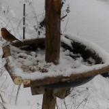 photo 2019-01-05 13-16-44