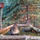 photo 2023-10-14 08-01-10