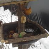 photo 2019-01-28 10-29-52