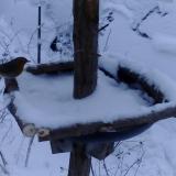 photo 2019-01-05 15-26-51