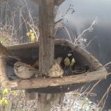 photo 2019-12-29 13-10-51