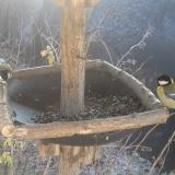 photo 2019-12-30 11-27-10