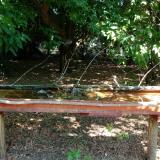 photo 2021-07-08 10-59-23