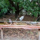 photo 2021-09-20 13-52-18