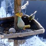 photo 2019-01-21 09-06-36