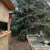 photo 2021-12-22 11-35-20