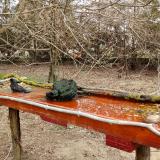 photo 2021-03-22 10-36-53