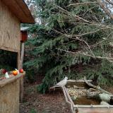 photo 2021-12-18 13-52-17