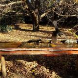 photo 2021-10-25 09-25-57