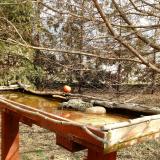 photo 2022-03-05 11-34-18