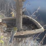 photo 2019-12-31 11-44-46