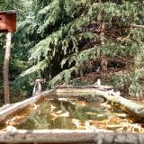 photo 2023-10-17 13-25-24