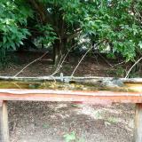 photo 2021-08-08 11-02-02