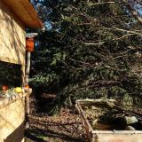 photo 2021-12-20 09-46-00