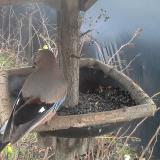 photo 2019-12-25 14-34-30