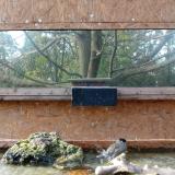 photo 2023-10-26 14-25-38