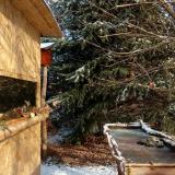 photo 2022-01-09 10-36-06