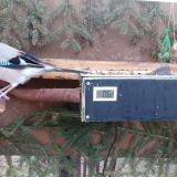 photo 2021-02-25 07-10-31