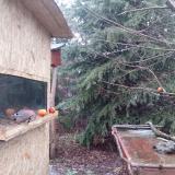 photo 2021-12-29 08-01-35