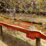 photo 2021-04-06 12-52-10