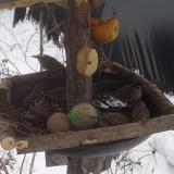 photo 2019-01-27 11-49-46