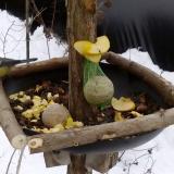 photo 2019-01-12 12-21-10