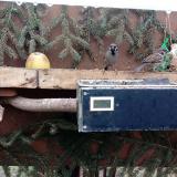 photo 2021-02-10 14-34-02