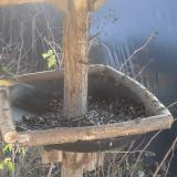 photo 2019-12-26 11-41-44