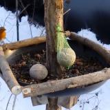 photo 2019-01-11 15-05-59