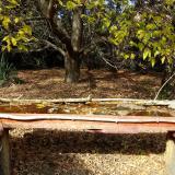 photo 2021-10-19 13-53-51