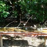 photo 2021-09-12 09-23-03