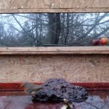 photo 2022-01-30 07-04-33