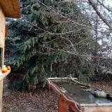 photo 2021-12-15 09-10-36