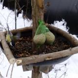 photo 2019-01-10 10-26-37