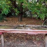 photo 2021-10-02 18-10-26