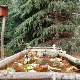 photo 2023-10-20 13-30-33