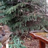 photo 2021-11-13 10-32-15