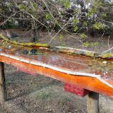 photo 2021-04-08 16-36-42