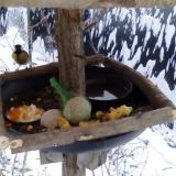 photo 2019-01-22 08-00-54