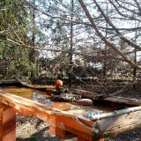 photo 2022-03-23 08-47-14