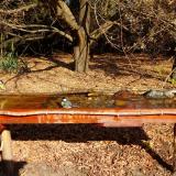 photo 2021-10-27 11-05-48