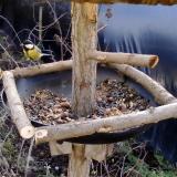 photo 2019-01-02 11-14-33