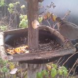 photo 2019-12-08 07-30-26