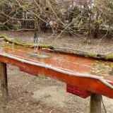 photo 2021-03-31 12-03-31