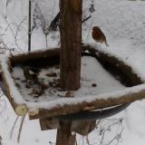 photo 2019-01-08 14-18-10