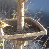 photo 2019-12-30 14-22-44