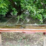 photo 2021-05-19 10-15-08