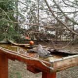 photo 2022-03-17 10-12-18