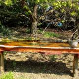 photo 2021-04-21 10-56-33