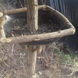 photo 2019-02-20 14-39-04